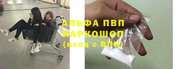 ECSTASY Медвежьегорск