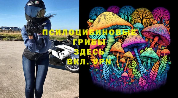 ешки Медногорск
