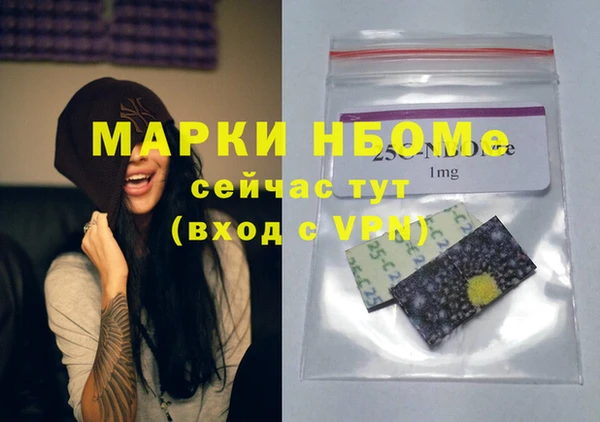 ешки Медногорск