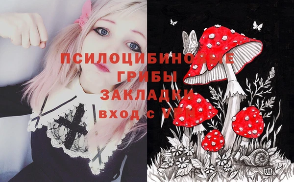 прущая мука Мегион