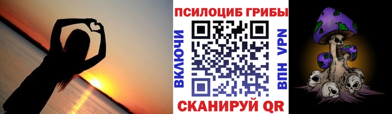Псилоцибиновые грибы Psilocybe  Архангельск 