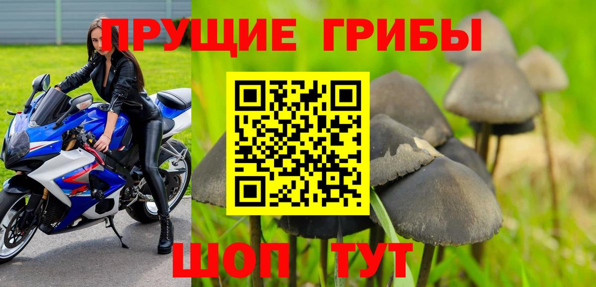 Псилоцибиновые грибы мухоморы Архангельск